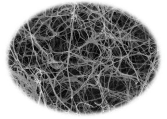 细菌纤维素（Bacterial Cellulose）是由一定的微生物（主要为细菌）产生的细胞外纤维素_副本